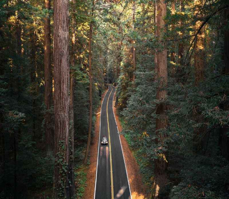 Sequoia National Park