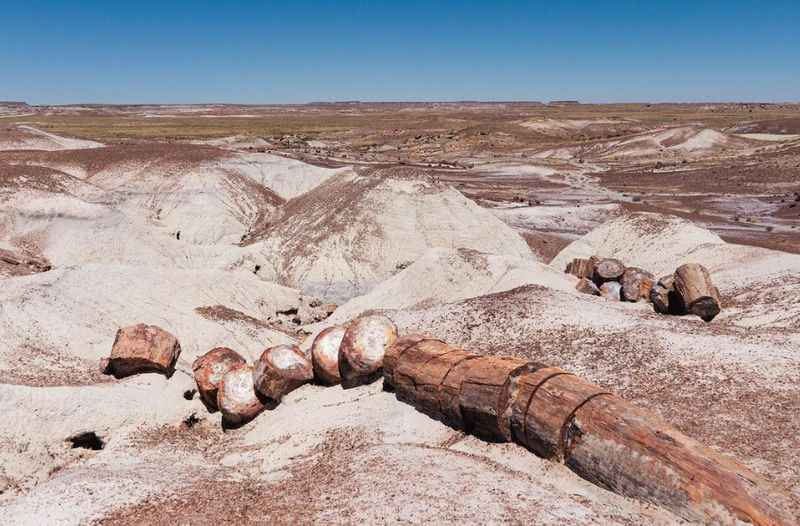 Petrified Forest National Park