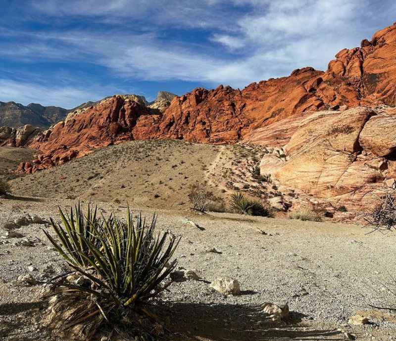 Red Rock Canyon National Conservation Area