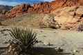 Red Rock Canyon National Conservation Area