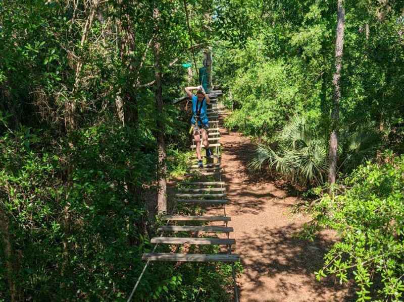 Tree Trek Adventure Park