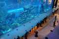 Dubai Underwater Zoo