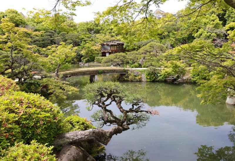 The Earl Burns Miller Japanese Garden