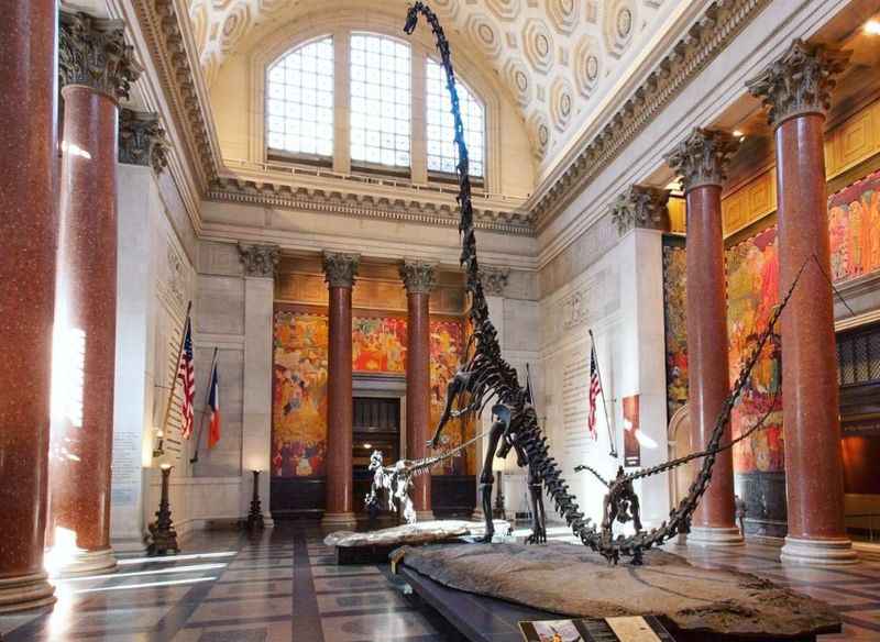 American Museum of Natural History