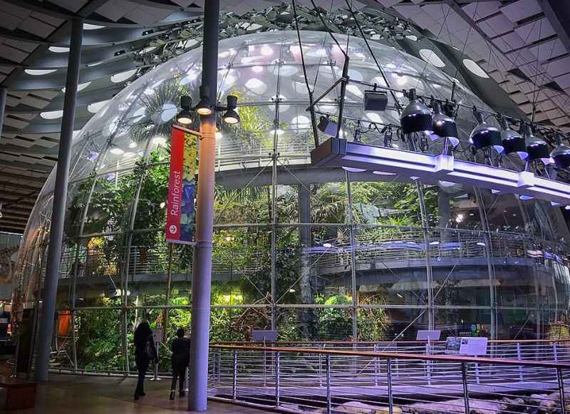 California Academy of Sciences