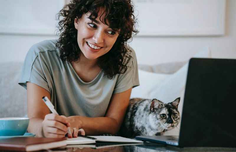 Crop young positive female smiling and taking notes in organizer while cat watching on netbook at table at home