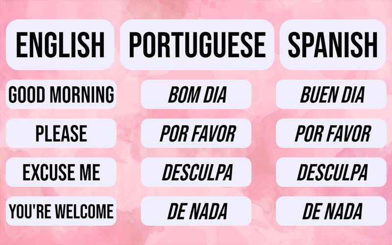 The Similarity of the Languages: Portuguese vs Spanish