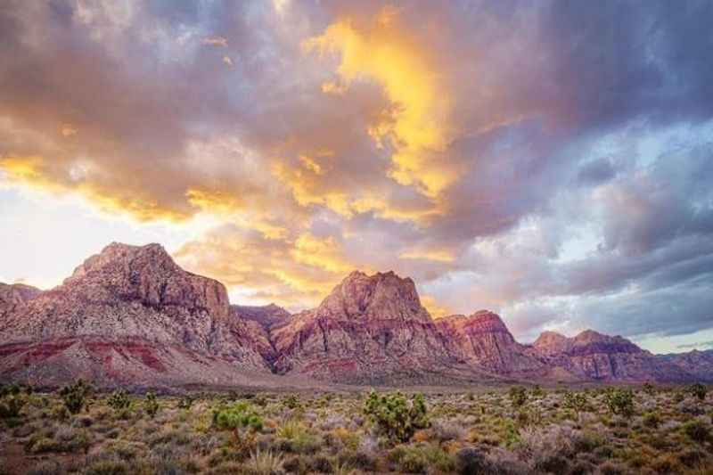 tunning Red Rock Canyon and the Vegas Strip with a Tour Guide