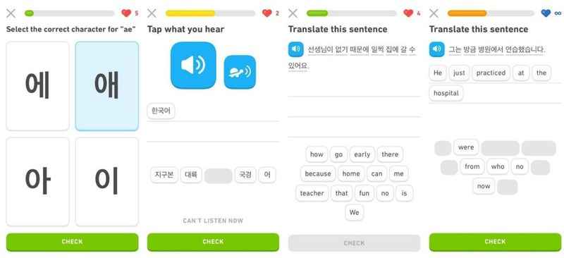 Duolingo interface