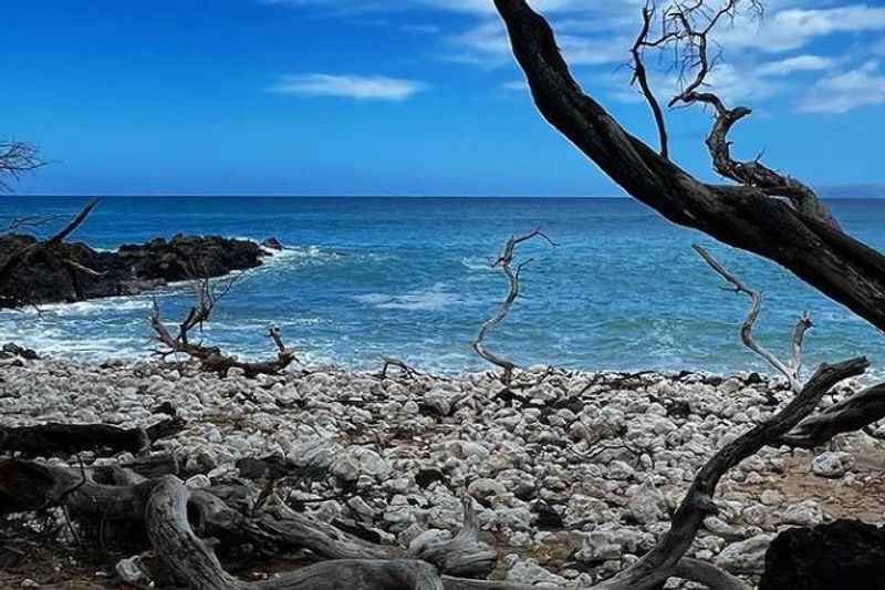 La Perouse Bay