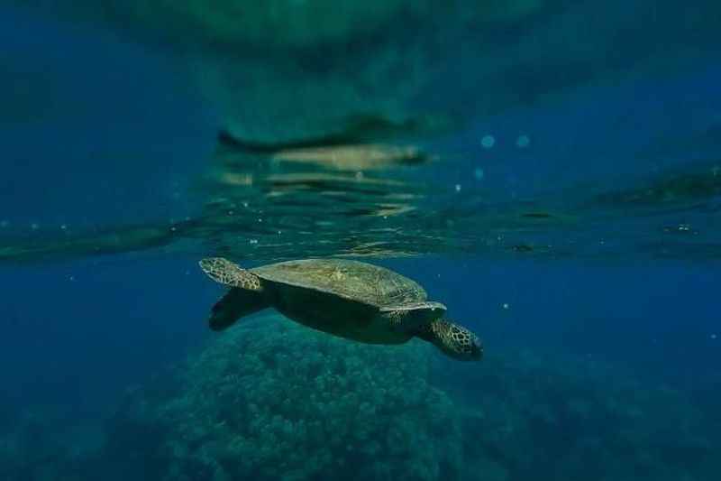 Maui, Hawaii