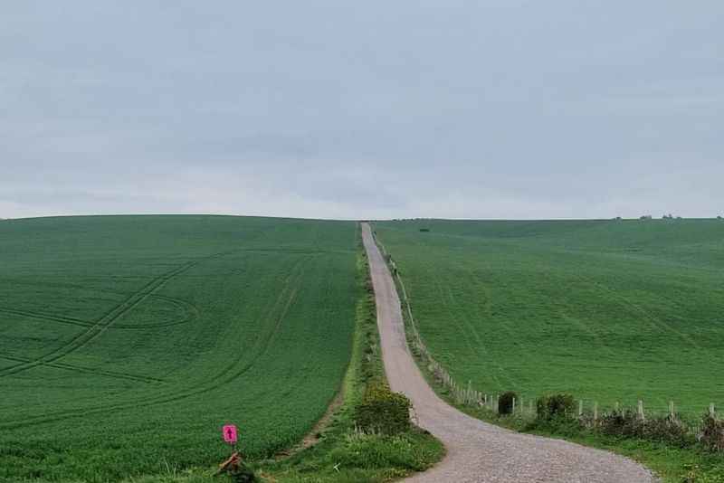 Salisbury Plain