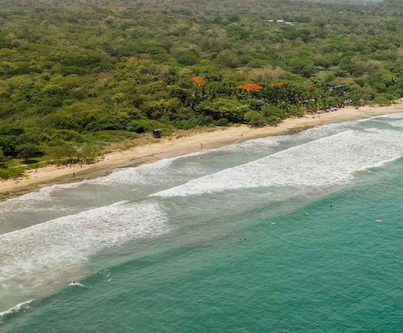 Guiones Beach and Playa Avellanas