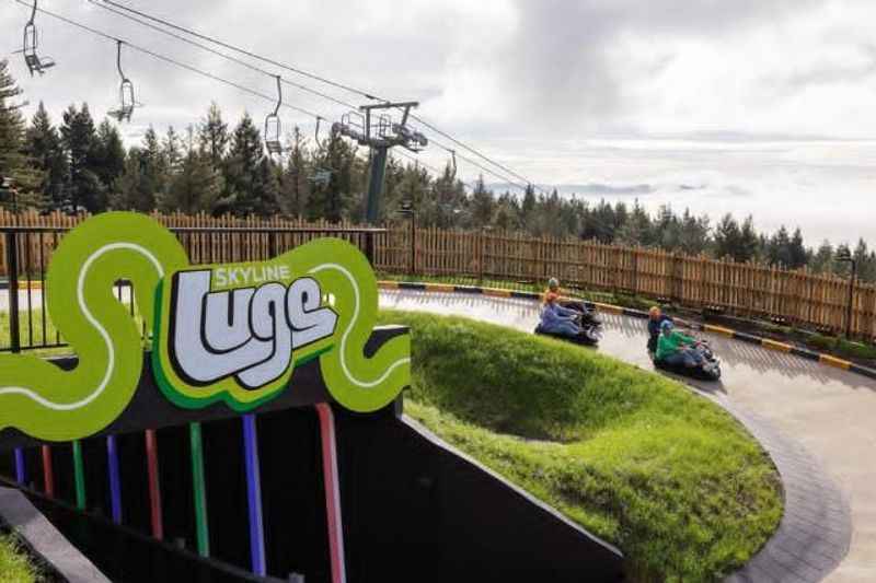 Skyline Luge