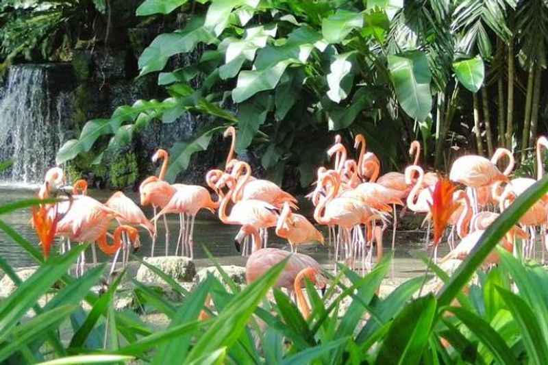 Jurong Bird Park