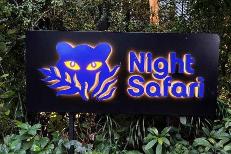 Night Safari