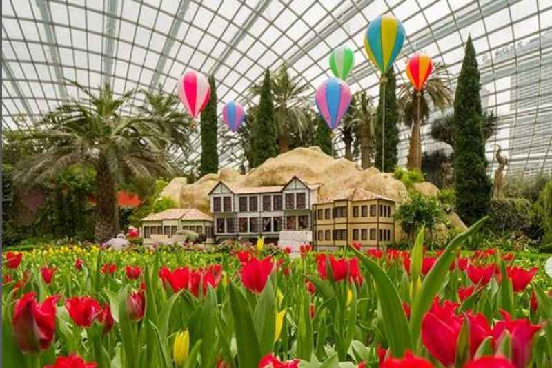 Gardens by the Bay