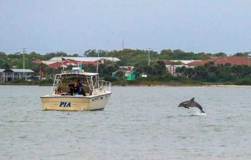 Scenic Boat Tour