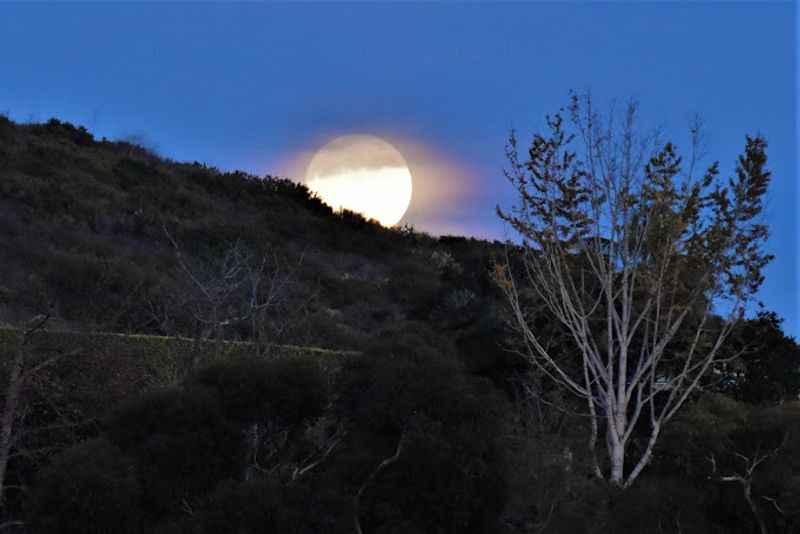 Laguna Coast Wilderness Park