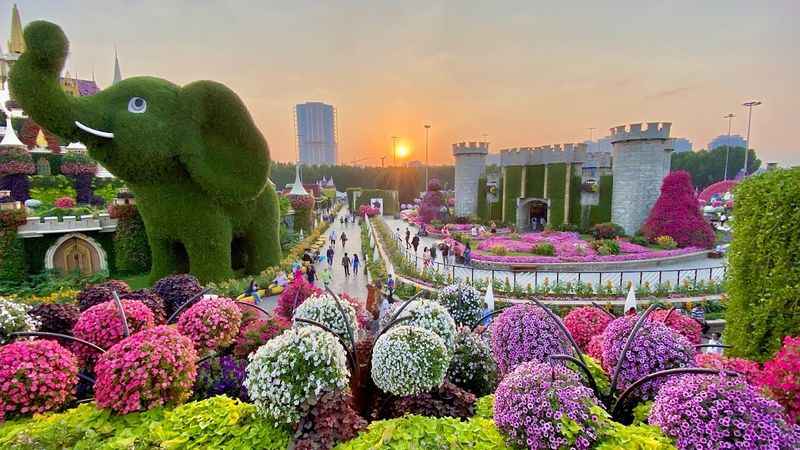 Dubai Miracle Garden