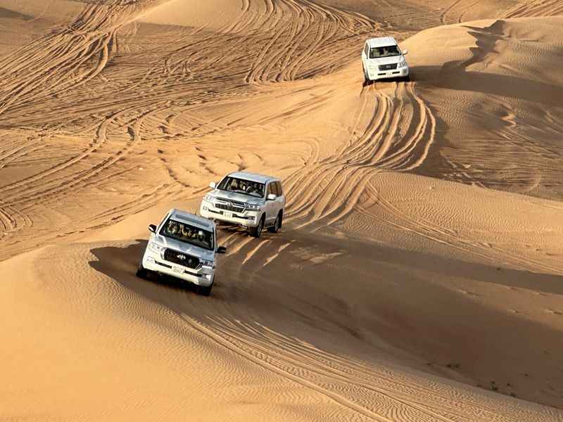 Desert Safari Tour