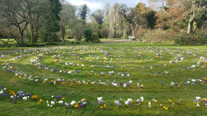 Cruickshank Botanic Gardens