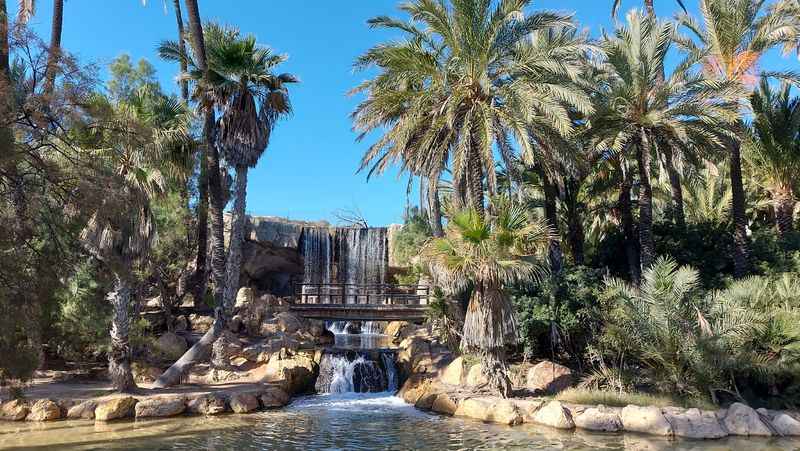 El Palmeral Park