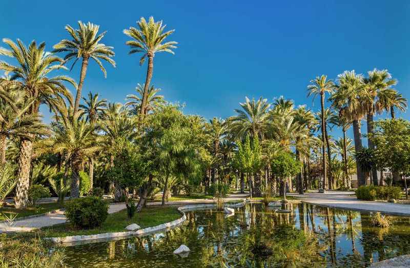 Elche's Palmeral