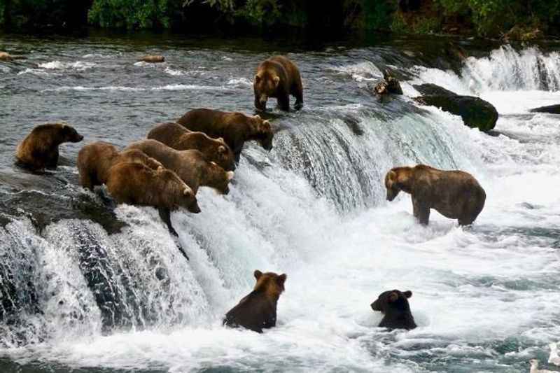 Katmai National Park