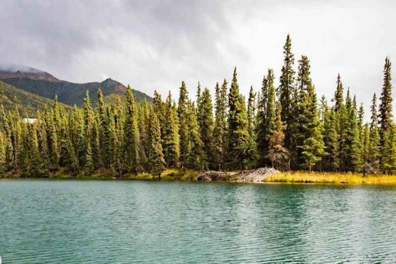 Denali National Park