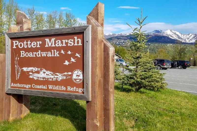 Potter Marsh Bird Sanctuary