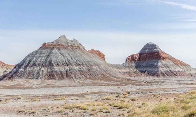 Petrified Forest National Park