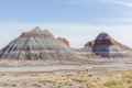 Petrified Forest National Park