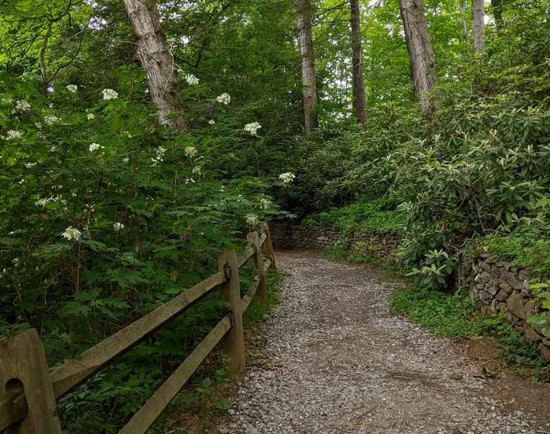 Botanical Gardens in North Asheville