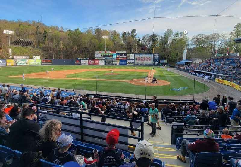 Asheville Tourists game