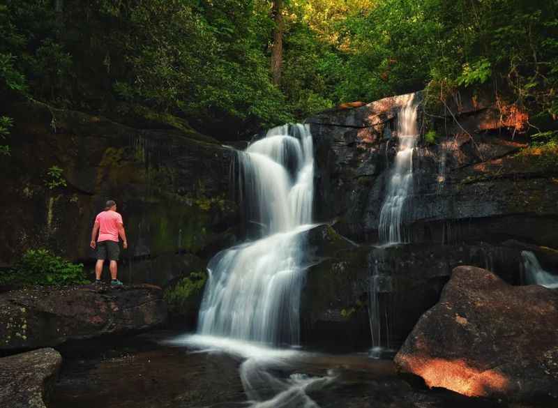 Pisgah National Forest