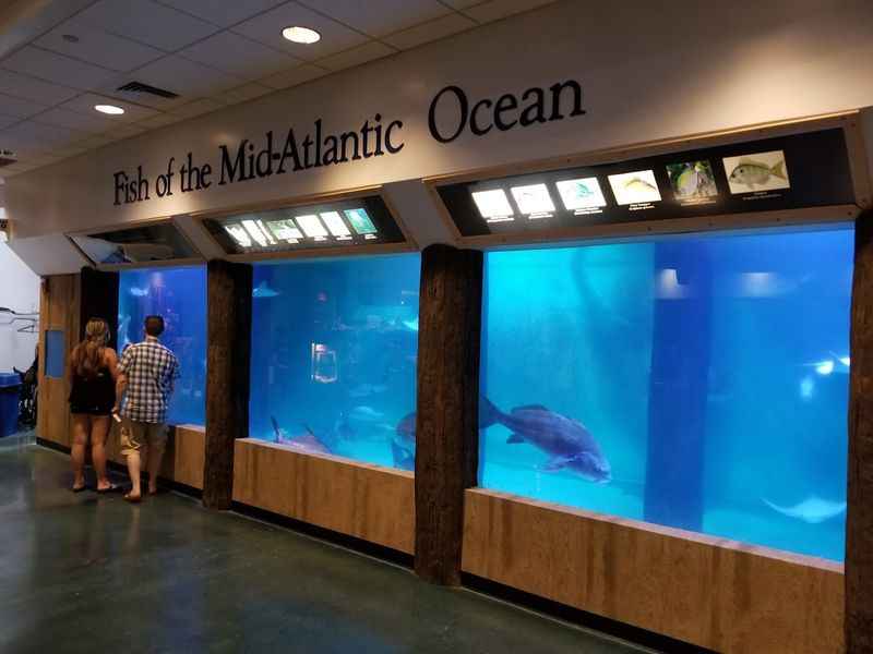 Atlantic City Aquarium