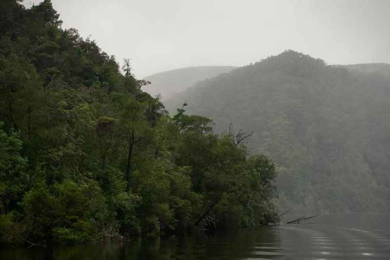 Tarkine Wilderness