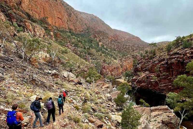 Hike the Larapinta Trail