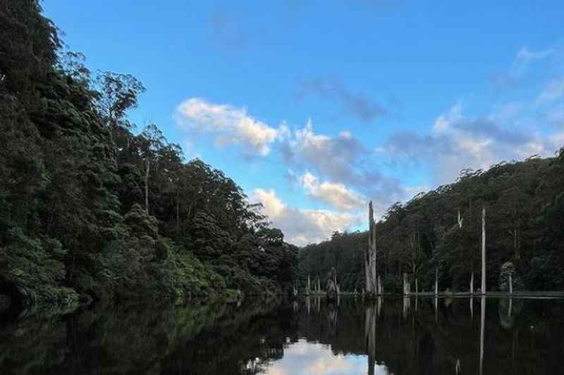 Otway National Park