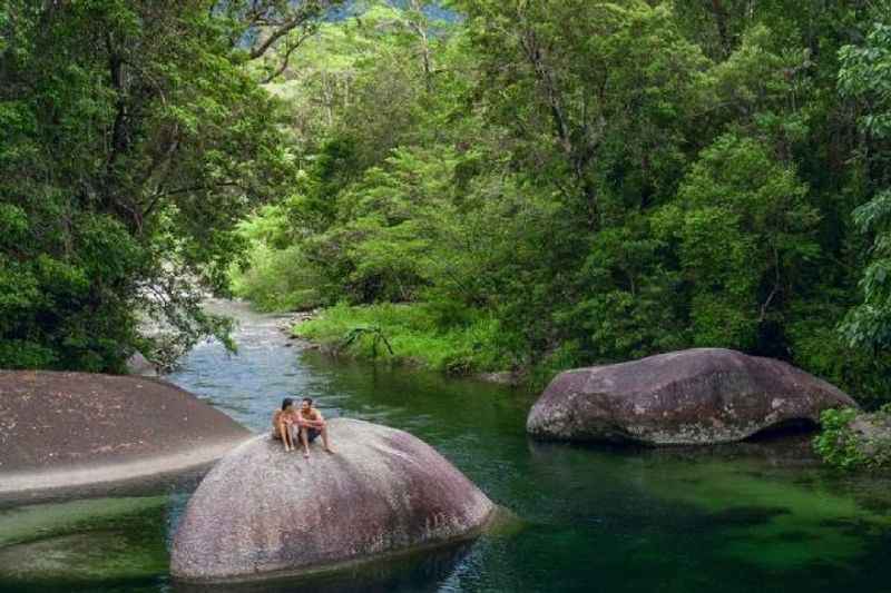 Daintree Rainforest