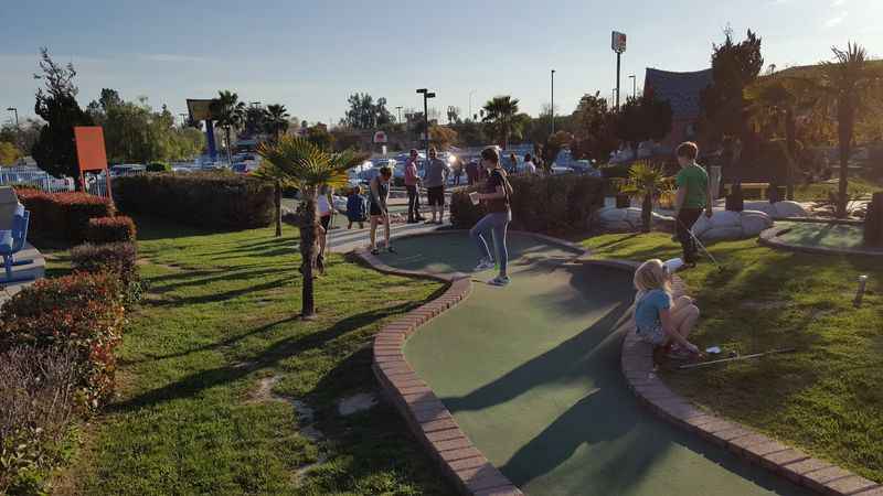 people walking on the park