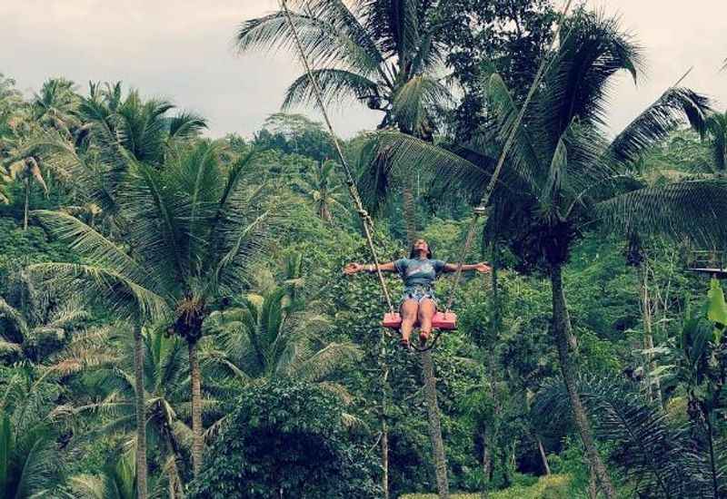 Bali's Jungle Swings