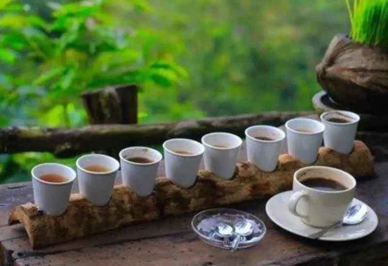 Luwak Coffee