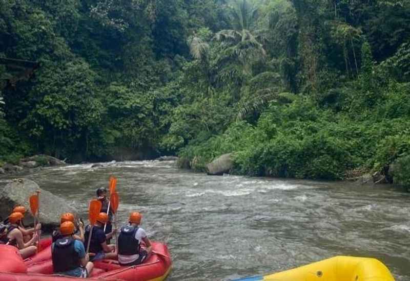 Ayung River