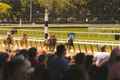 a horse race with people watching