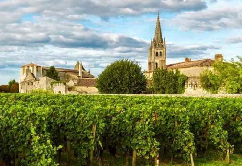 Bordeaux Wine Tours