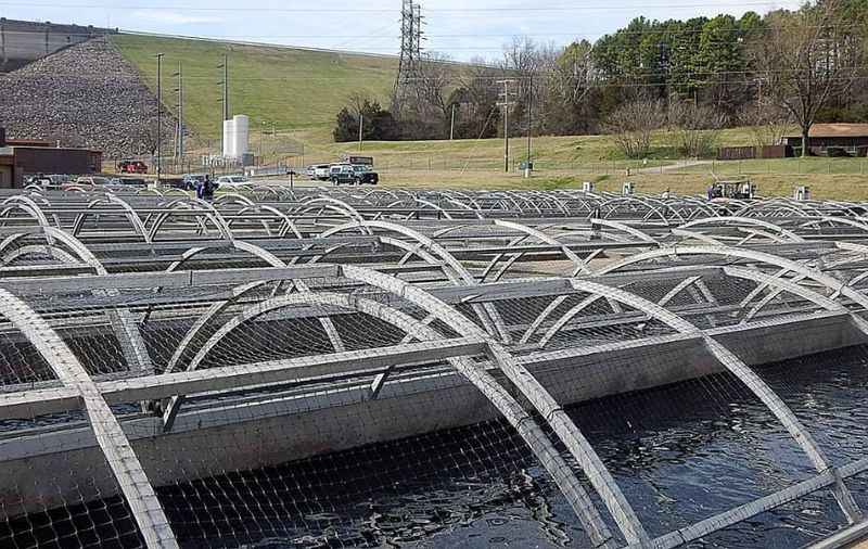 Shepherd of the Hills Fish Hatchery