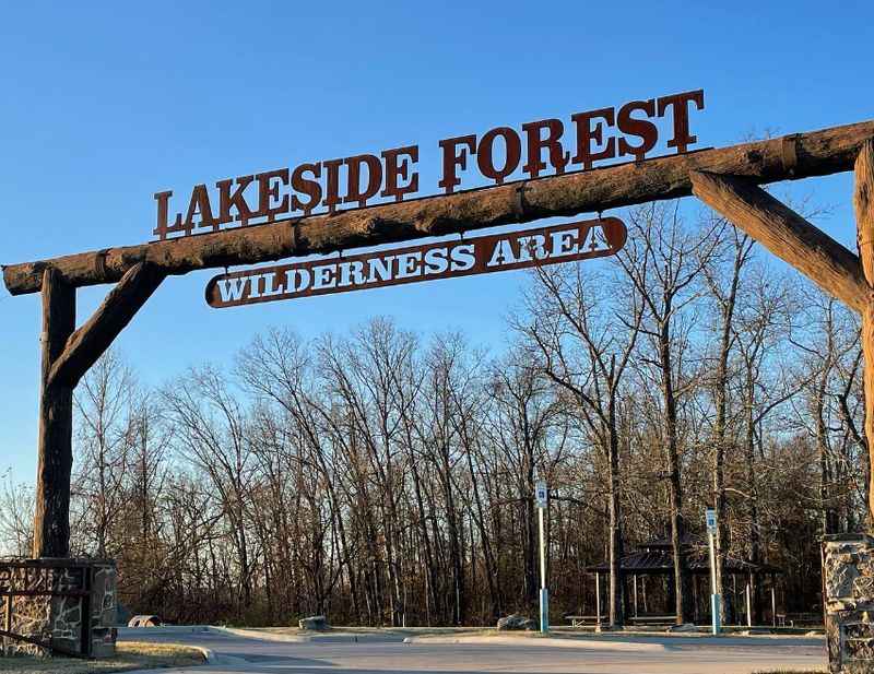 Lakeside Forest Wilderness Area