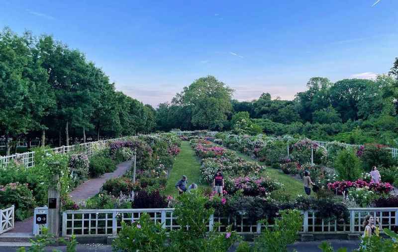 Cranford Rose Garden